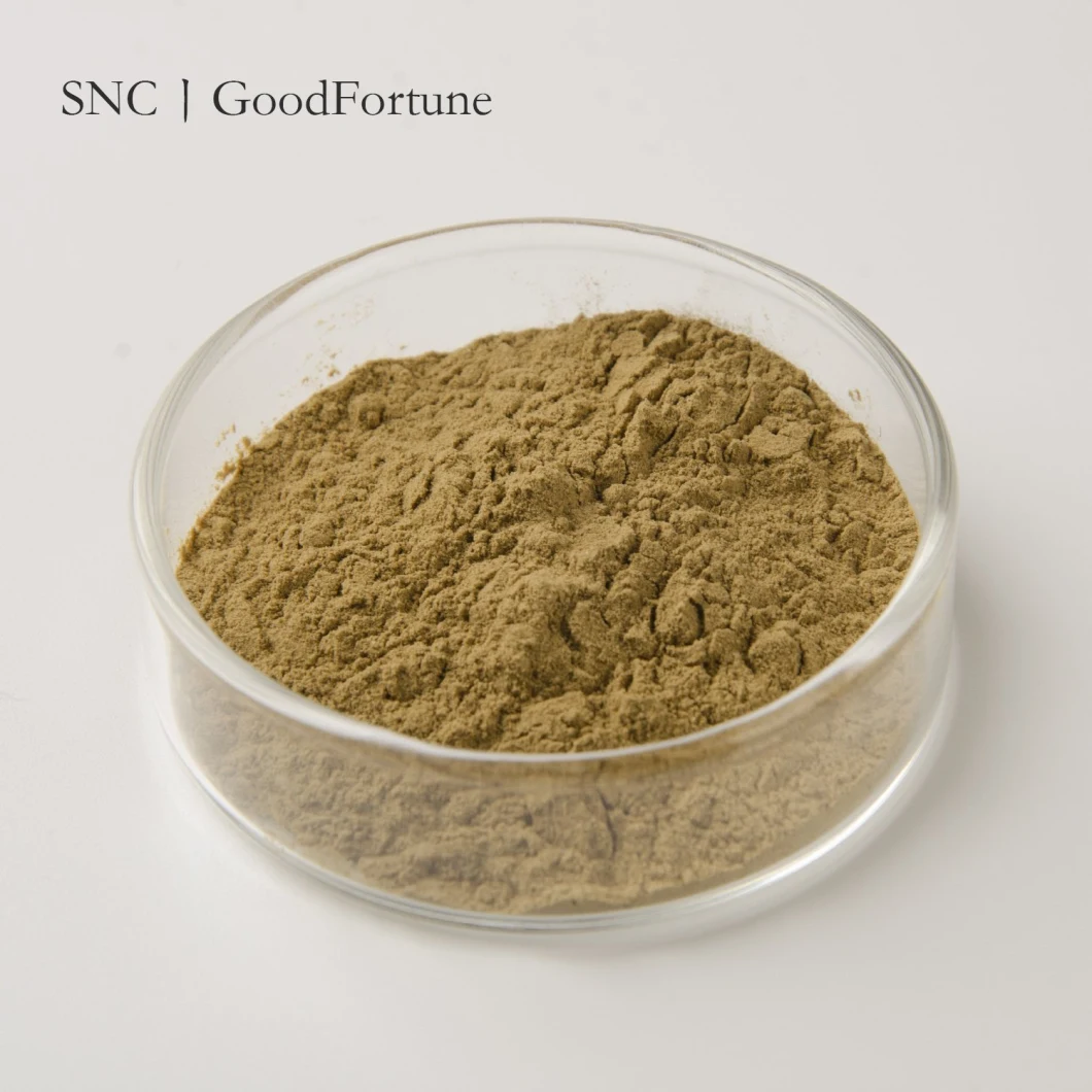 High Quality Best Price Herbal Extract Cactus Extract