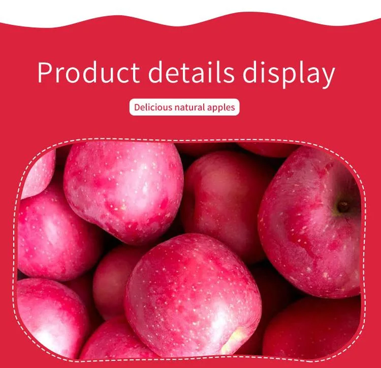 Top Quality Organic Apples Made in Italy &quot;Fresh Apples Fruits Crunchy