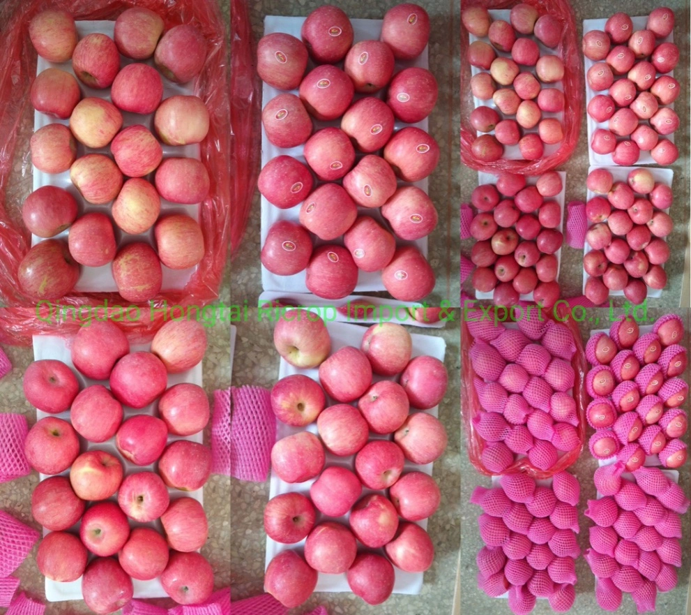 China Fresh Apple Fruit Sweet FUJI Apple with Factory Price
