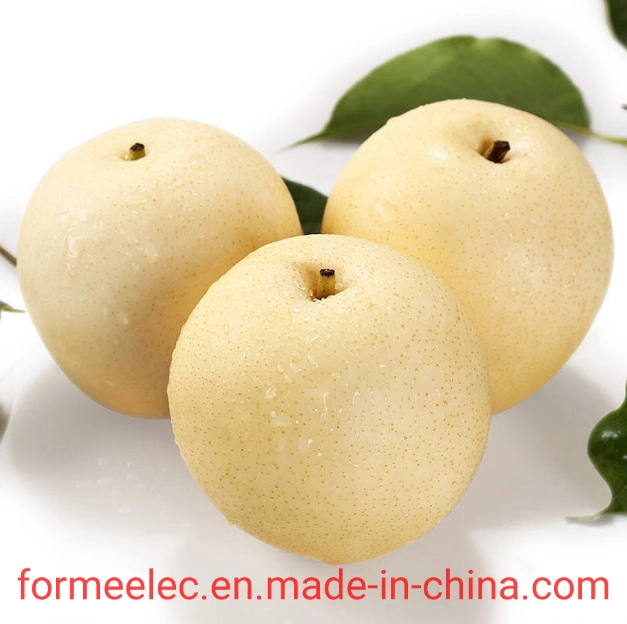 Chinese Fruit Huang Guan Pear Crown Pear