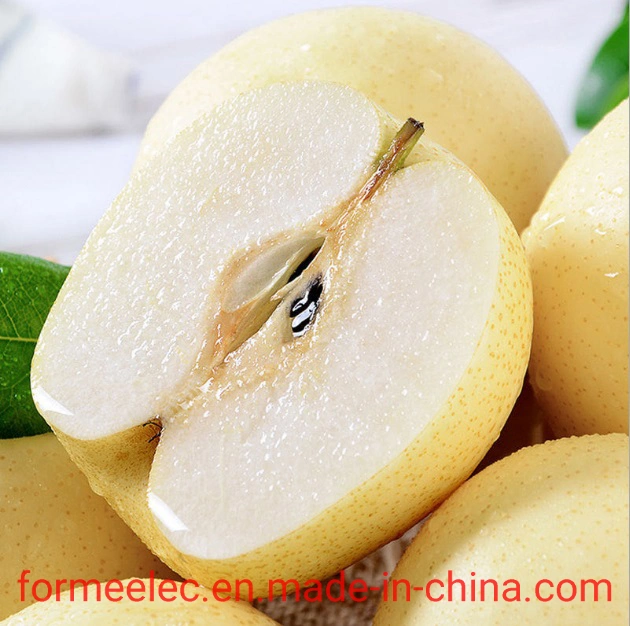 Chinese Fruit Huang Guan Pear Crown Pear