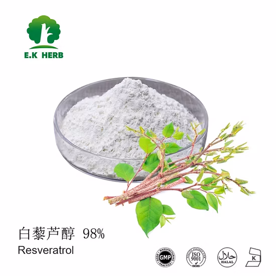 Natural Resveratrol Bulk Powde Knotweed Extract
