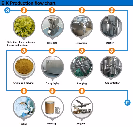 Natural Resveratrol Bulk Powde Knotweed Extract