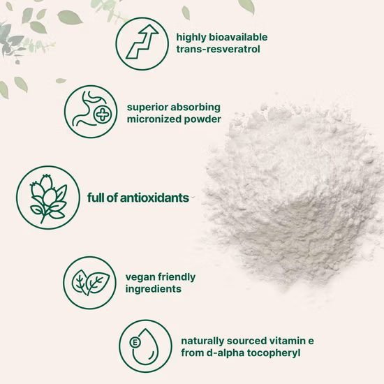 Natural Resveratrol Bulk Powde Knotweed Extract