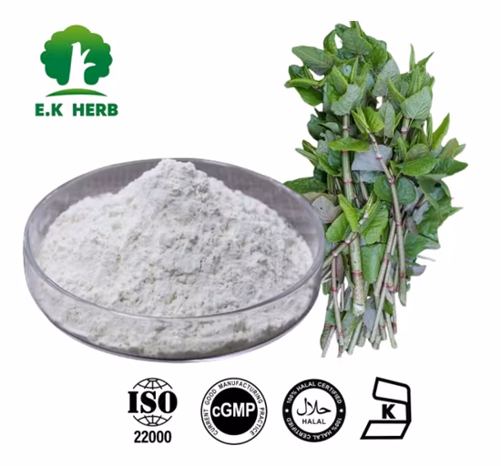 Natural Resveratrol Bulk Powde Knotweed Extract