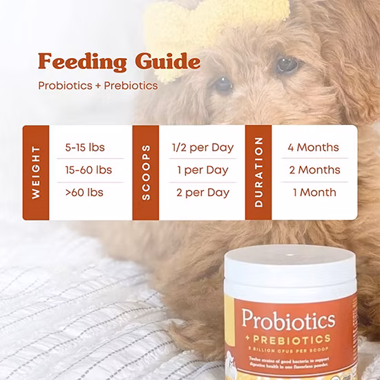 Advanced Max-Strength Vet Formulated Natural Probiotics Powder Organic Certified Probiotics for Dogs and Cats