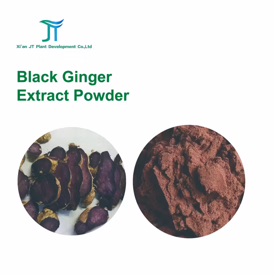 Ginger Powder Natural Herbal Plant Extract
