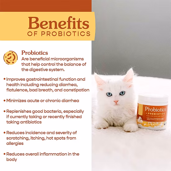 Healthcare Supplement Colostrum Probiotics Powder for Cats and Dogs OEM