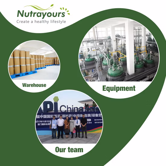 Chinese Herbal Dang Gui Angelicae Sinensis Radix Raw Herbs in Chinese Angelica